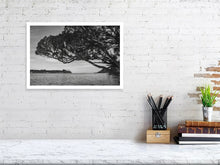 Lade das Bild in den Galerie-Viewer, 4852241-1119554