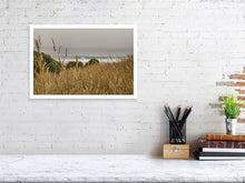 Lade das Bild in den Galerie-Viewer, 4852257-1119523