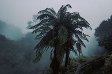 Lade das Bild in den Galerie-Viewer, Hot spring No. 1