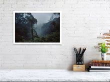 Lade das Bild in den Galerie-Viewer, 4852970-1119749