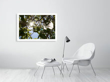 Lade das Bild in den Galerie-Viewer, 4853477-1120282