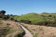 Lade das Bild in den Galerie-Viewer, Green hills