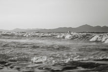 Lade das Bild in den Galerie-Viewer, Wellenreiter