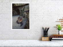 Lade das Bild in den Galerie-Viewer, 4852965-1119725