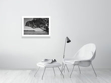 Lade das Bild in den Galerie-Viewer, 4852241-1119555