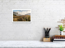 Lade das Bild in den Galerie-Viewer, 4852954-1119772