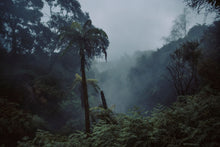 Lade das Bild in den Galerie-Viewer, Hot spring No. 2