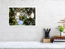 Lade das Bild in den Galerie-Viewer, 4853477-1120280