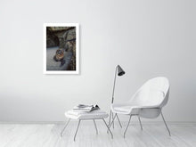 Lade das Bild in den Galerie-Viewer, 4852965-1119726