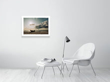 Lade das Bild in den Galerie-Viewer, 4853973-1120152