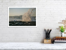 Lade das Bild in den Galerie-Viewer, 4852240-1119653