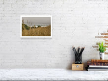 Lade das Bild in den Galerie-Viewer, 4852257-1119522