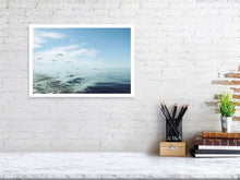 Lade das Bild in den Galerie-Viewer, 4898249-1133735