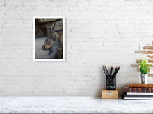 Lade das Bild in den Galerie-Viewer, 4852965-1119724