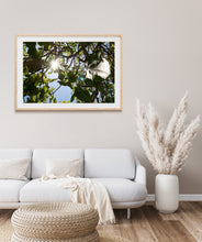 Lade das Bild in den Galerie-Viewer, Morning sun