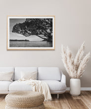 Lade das Bild in den Galerie-Viewer, Papatowai Coastal