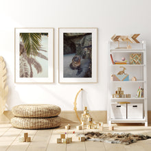 Lade das Bild in den Galerie-Viewer, Baby seal