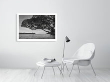 Lade das Bild in den Galerie-Viewer, 4852241-1119556