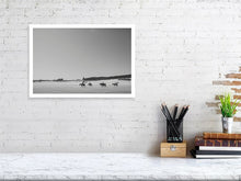 Lade das Bild in den Galerie-Viewer, 4853461-1120264