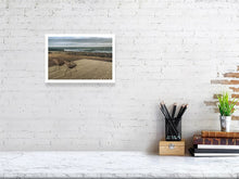 Lade das Bild in den Galerie-Viewer, 4852981-1119679