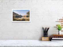 Lade das Bild in den Galerie-Viewer, 4852957-1119760