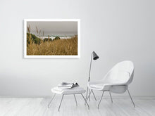 Lade das Bild in den Galerie-Viewer, 4852257-1119525