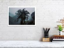 Lade das Bild in den Galerie-Viewer, 4853323-1120029