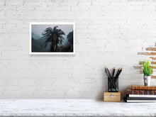 Lade das Bild in den Galerie-Viewer, 4853323-1120028