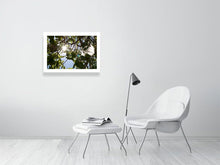 Lade das Bild in den Galerie-Viewer, 4853477-1120281