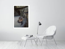 Lade das Bild in den Galerie-Viewer, 4852965-1119727